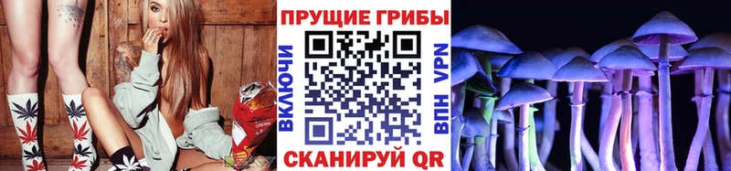 Псилоцибиновые грибы мицелий  купить наркоту  Закаменск 